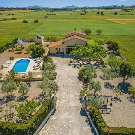 Vernissa Villa Santa Margalida
